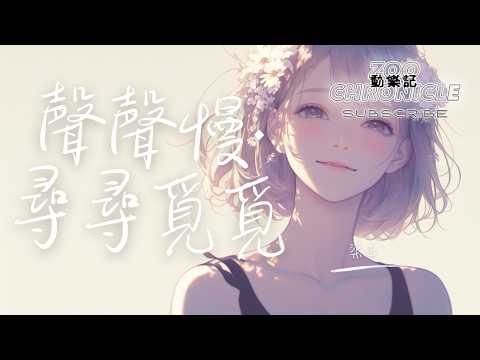 梁正 - 聲聲慢·尋尋覓覓 | 守著窗兒，獨自怎生得黑 | 動態歌詞 Lyric Video
