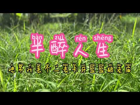 蔡秋鳳《半醉人生》官方 MV (三立戲劇甘味人生片頭曲)【歌词版 / Pinyin Lyrics】
