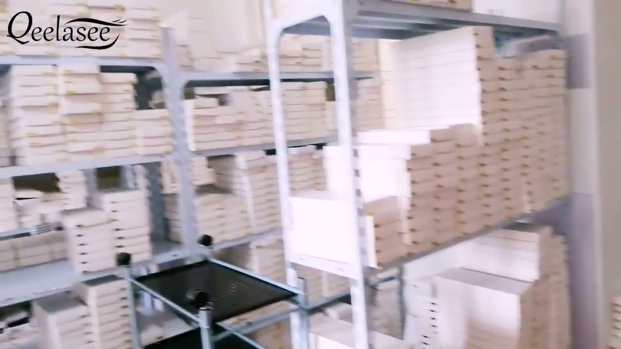 Qeelasee Daily Shipment 