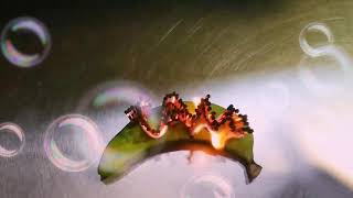 Dil tootne ke baad naam v uska jaladi humne...