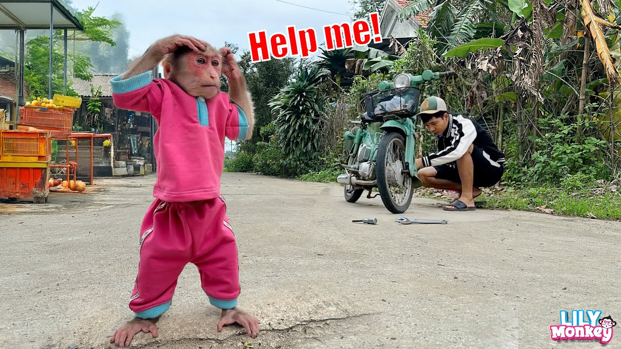 Smart Lily runs to find someone to help dad fix the motorbike | Lily's story