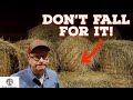 1 farming scam  you must cut hay