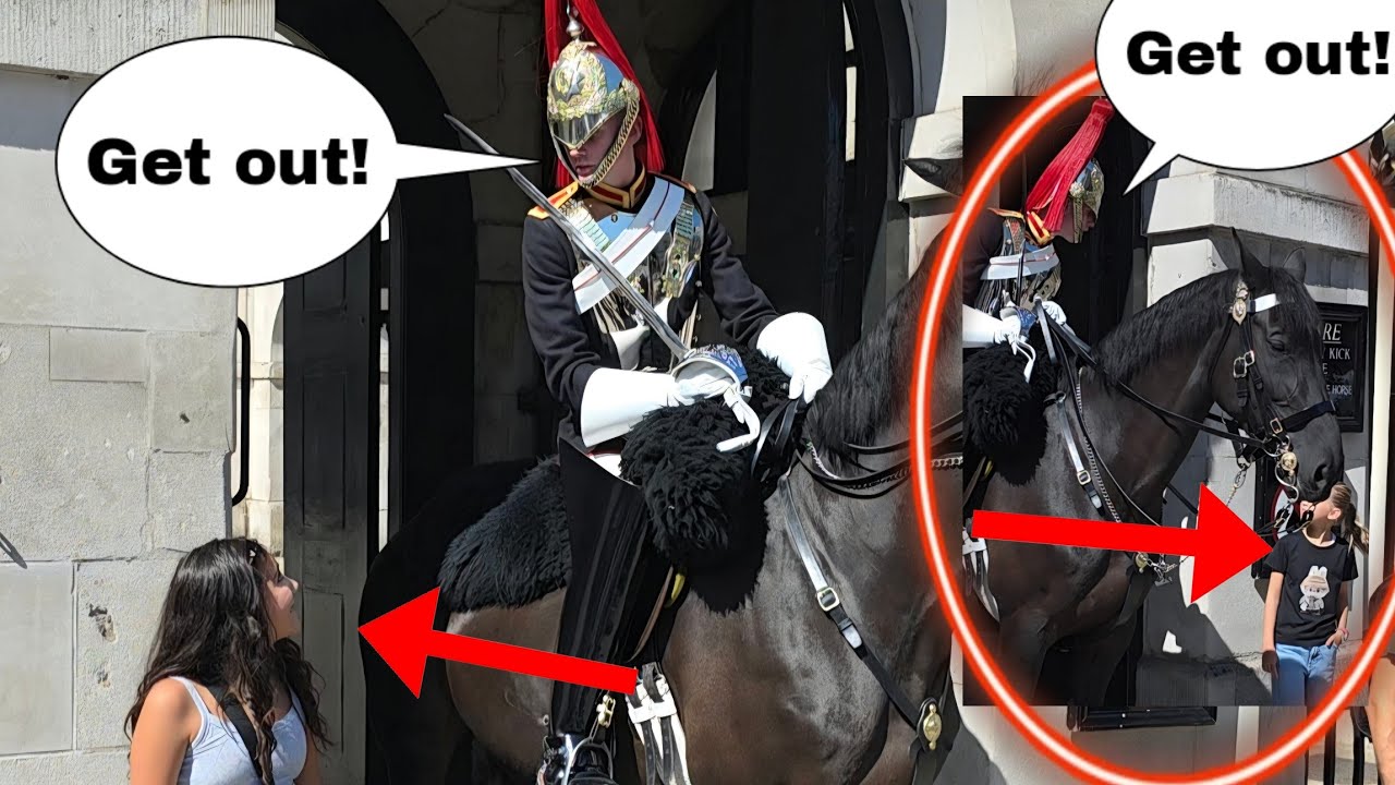 BRAVO!👏 King's Guard did a great job in handling the situation!