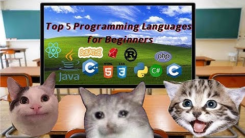 Top 5 Programming Languages for Beginners