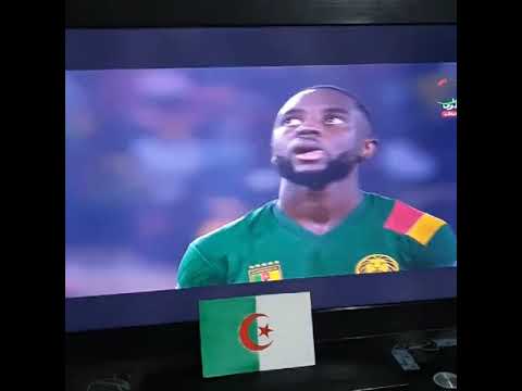 شاهد تشجيع فتيات الجزائر لأبوجبل أثناء مباراة مصر والكاميرون