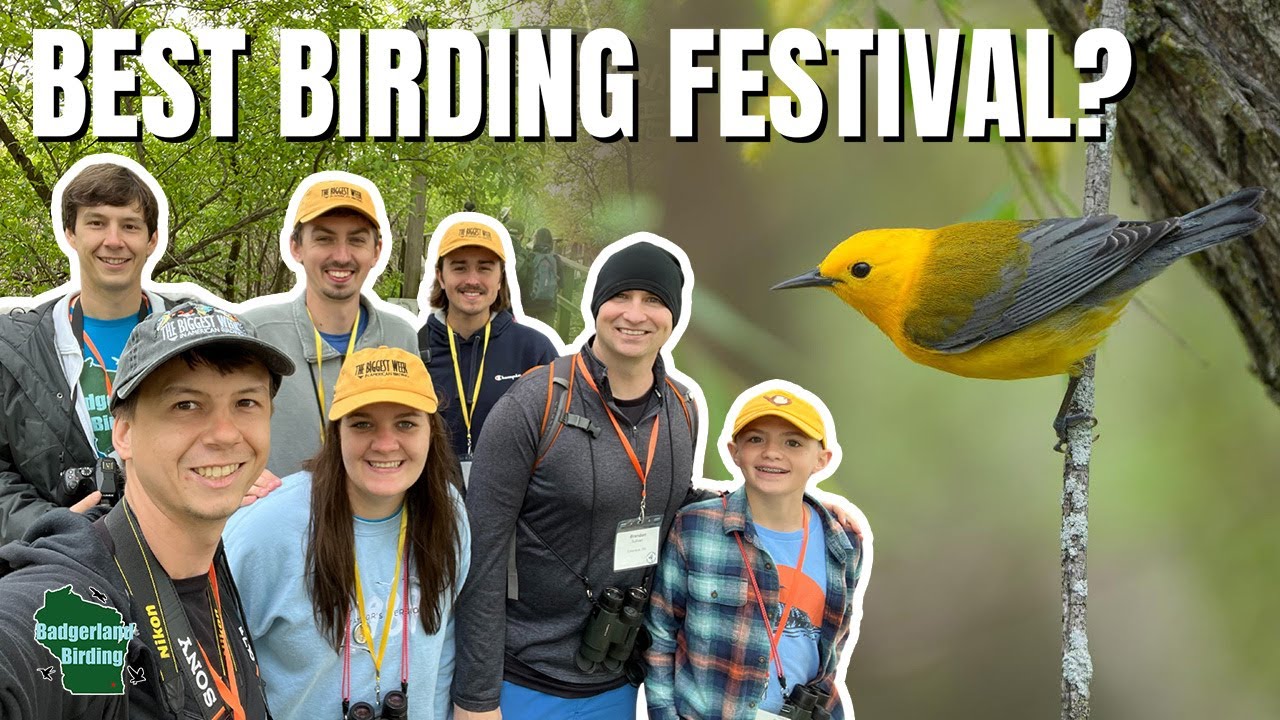 Experience the Biggest Week in American Birding: A 6-Day Journey!