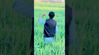Use chorna mat wo serf tumhare hai #cinematicvlog #pakistantravel #villagelife#cinematicshots#foryou