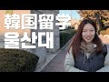 【韓国留学】ウルサン大学の語学堂に行ってみた！