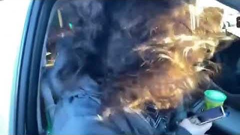 @dabassgod773 Tahoe Slow motion bass demo Js-Alternators.com