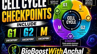 🧬 G1, G2 &amp; M — the 3 security checkpoints that control your cell cycle! 🚦#csirnet #biology #viral 