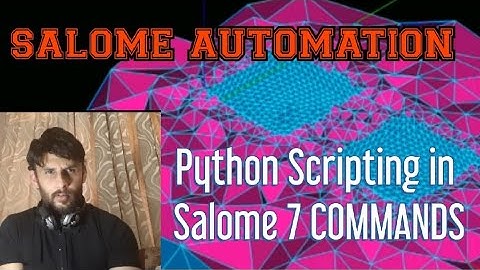 7 Commands For Python Scripting in Salome