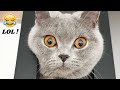 1 HOUR FUNNY CATS COMPILATION 2022😂| The Best Funny Cat Videos!😸