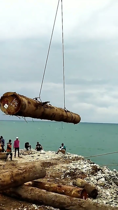 Loading kayu log#viral #viralvidio #video #vidioshort #tagbot #alatberat #tongkang #kayu #kapal