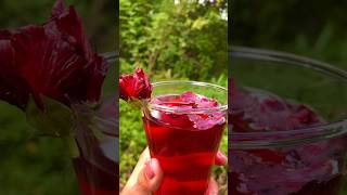Hibiscus juice ????Red වයින් කියලද හිතුවේ?මේ වදමල් බීම shorts short ytshorts asmr fyp