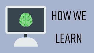 How We Learn: The Link Between Neuroscience and AI