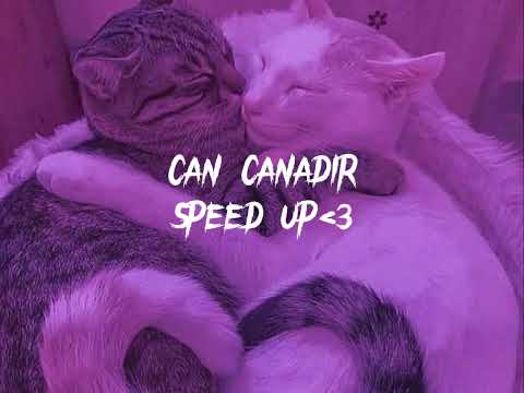 Can canadır can cana-speed up