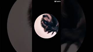 😲😲
