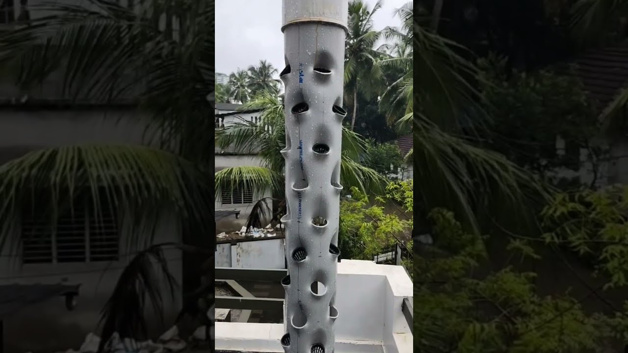 Vertical Tower Aeroponics Hydroponics Thehydroponicsguy2379 HydrofarmTVIndo