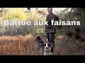 Chasse aux faisans traditionnelle au domaine les bons frères 1/2