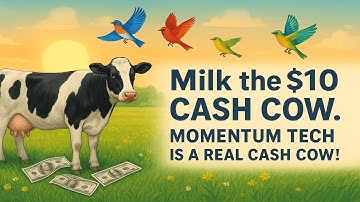Momentum Tech - $10 Cash Cow
