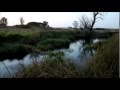 охота на бобра для новичков.hunting for a beaver