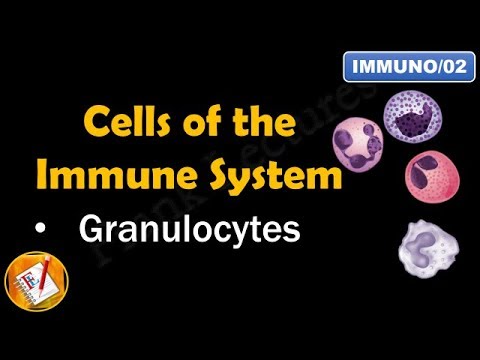 مدافعتی نظام کے خلیات (حصہ I - گرانولو سائیٹس) (FL-Immuno/02)