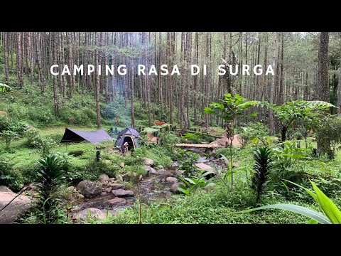 Camping Keluarga di Tepi Sungai Hutan Pinus Wisata Kampoeng Ciherang Sumedang #camping #kemping