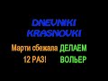 Лиса. Марти сбежала... 12раз!!! Делаем вольер!