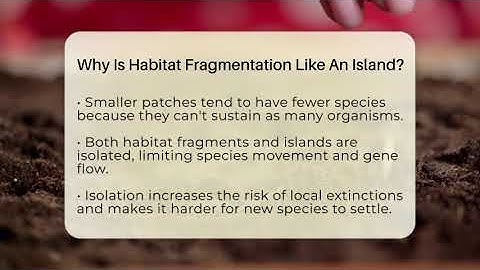 Why Is Habitat Fragmentation Like An Island? - Ecosystem Essentials