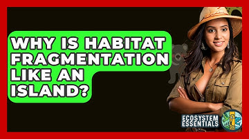 Why Is Habitat Fragmentation Like An Island? - Ecosystem Essentials