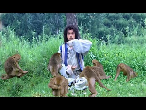武俠電影！猴林中長大的少年日後成了武林第一！ 💥 中国电视剧 | KungFu