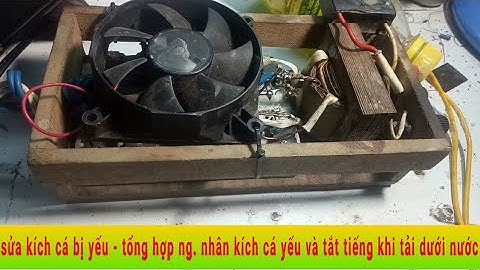 Sửa kích cá - hướng dẫn sửa kích cá bị tắt tiếng khi tải nước