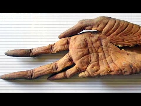 مصر تصدم العالم مرة أخرى باكتشاف لم يكن من المفترض أن يراه أحد