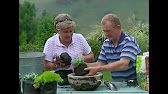 The Garden Gurus - Hanging ball basket