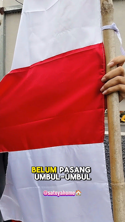 https://vt.tiktok.com/ZSSAbok3G/