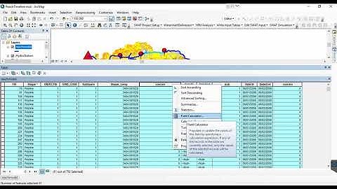 Creat time animation in ArcGIS