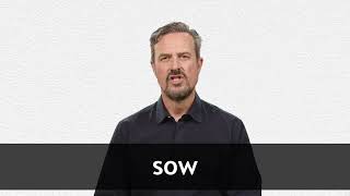 How to pronounce SOW in American English