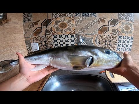 COMO LIMPAR E PREPARAR UM PEIXE VENENOSO - CHURRASCO DE BAIACU