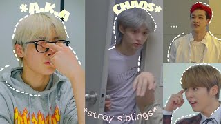 Stray Kids giving off sibling energy pt 3