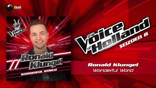 Ronald Klungel - Wonderful World (The voice of Holland 2017/2018 The Liveshows audio)