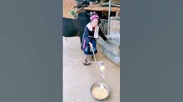 The process of corn crushing = good methods can increase efficiency