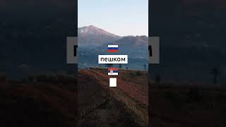 Учим сербский каждый день. Упражнения и викторины на сербском языке
