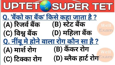 UPTET 2021 || Super TET EVS Important Questions || Super TET || UP LEKHPAL || SSC || RRB || UPPET