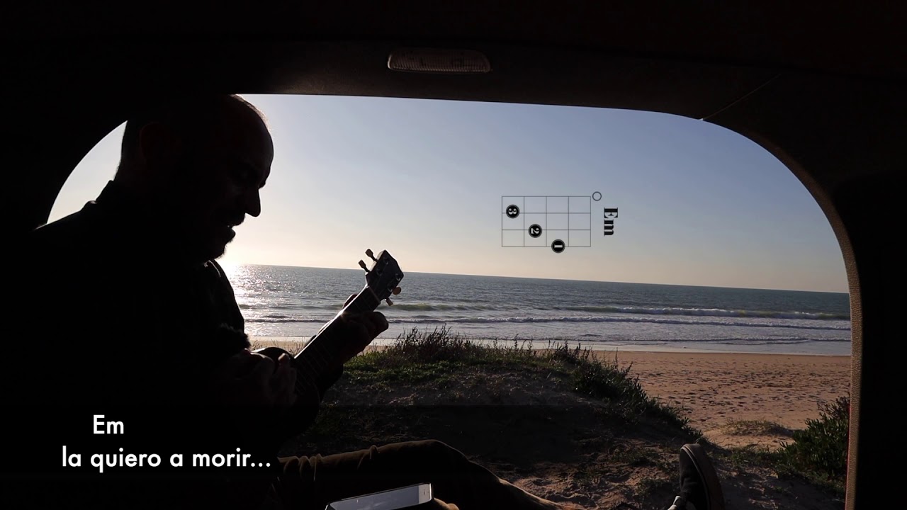 La Quiero a Morir -EN UKELELE- COVER