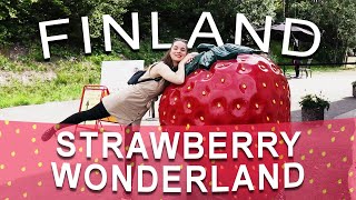 🍓 The Best STRAWBERRIES In The World | Finland 🍓