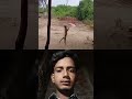 Snake Catches a Bird... But a Cat Steals It in Seconds!😱😱
