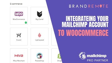How to integrate your WooCommerce store with MailChimp?