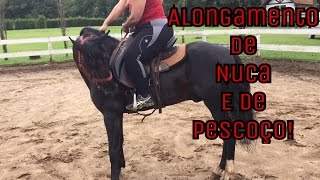 Pescoço charley tirar um do como cavalo