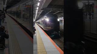 E655系団体臨時列車なごみ(和)　河津日帰り旅　上り川崎駅通過