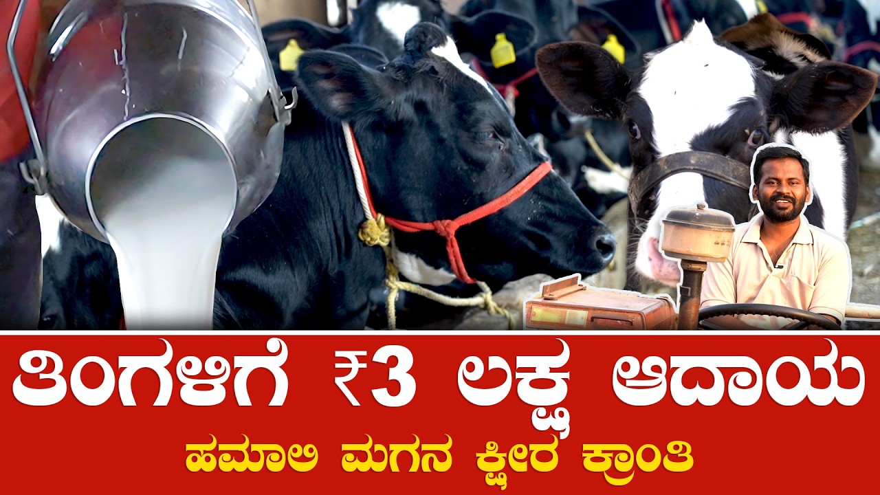 🐄From Hamali to Dairy King! 🔥 Monthly ₹3 Lakh Income | Success Story 🥛 Dairy Farming Tips In Kannada